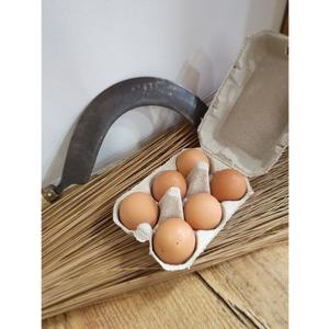 Oeufs fermiers bio x6