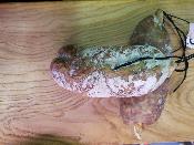Saucisson de Savoie à l'ail des ours