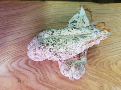 Saucisson de Savoie au sanglier