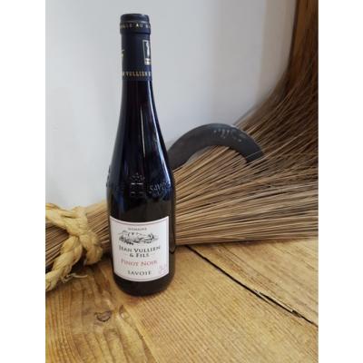 Pinot noir - Domaine Vullien