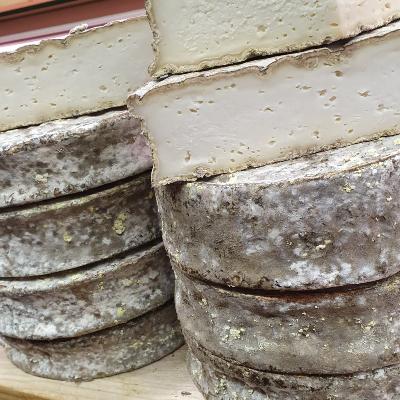 Tomme de chèvre fermière